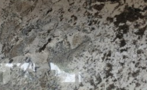 Granite Arul White