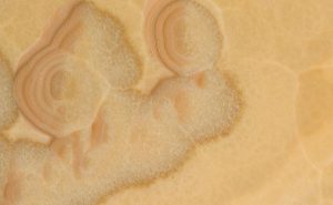 Đá xuyên sáng Honey Onyx