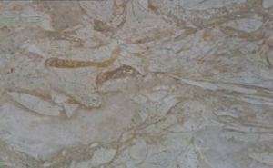 Marble Perlato