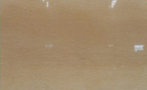 Marble Selvia Beige