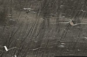 Đá Grey Cygnus Quartzite